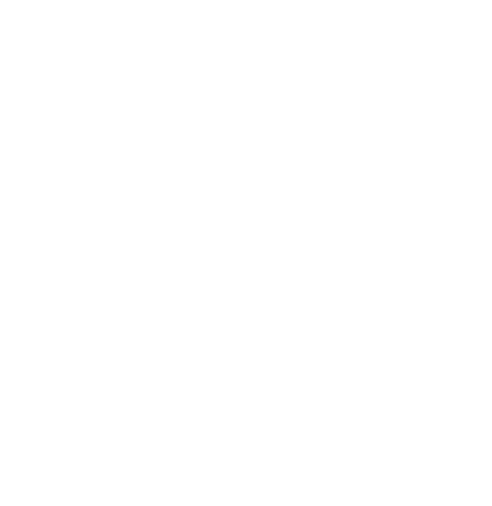 raidetwhite.png